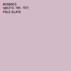 #D5B8C5 - Pale Slate Color Image